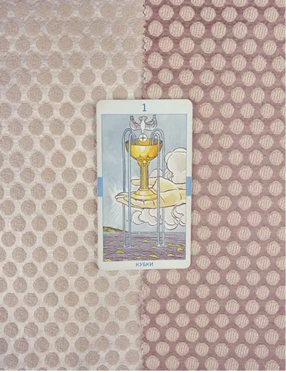 Find the Meaning of Lion’s Gate Portal