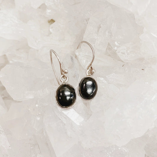 Shungite Simple Earrings