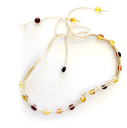 Baltic Amber Collar for Cats or Dogs